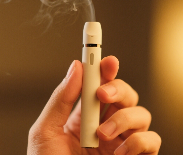 Conectando Pessoas com Sabor: Como os Cigarros Eletr&ocirc;nicos Unem Estranhos